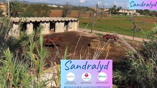 Blowjob and balls sucking with horses - porn video